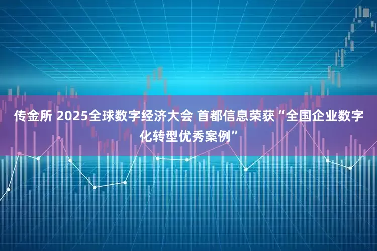 传金所 2025全球数字经济大会 首都信息荣获“全国企业数字化转型优秀案例”